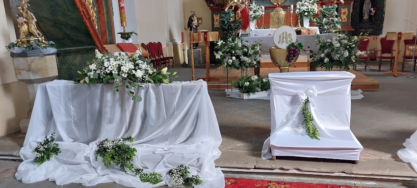 Efekt Urszula Bury