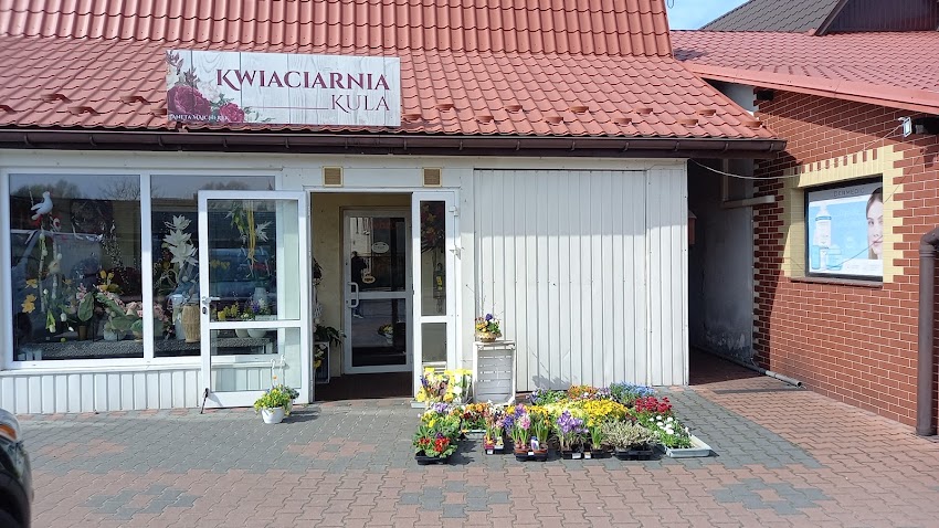Kwiaciarnia Kula Aneta Majcherek