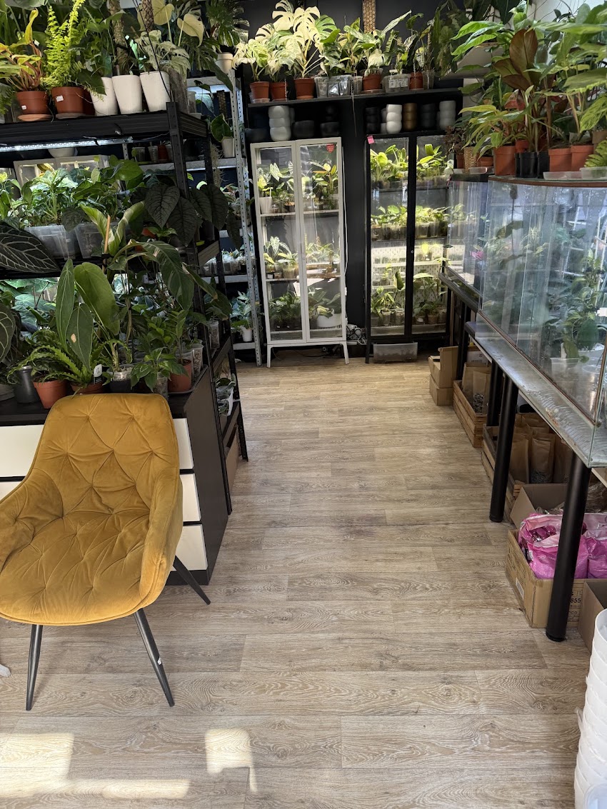 VarieGarden Rośliny Kolekcjonerskie