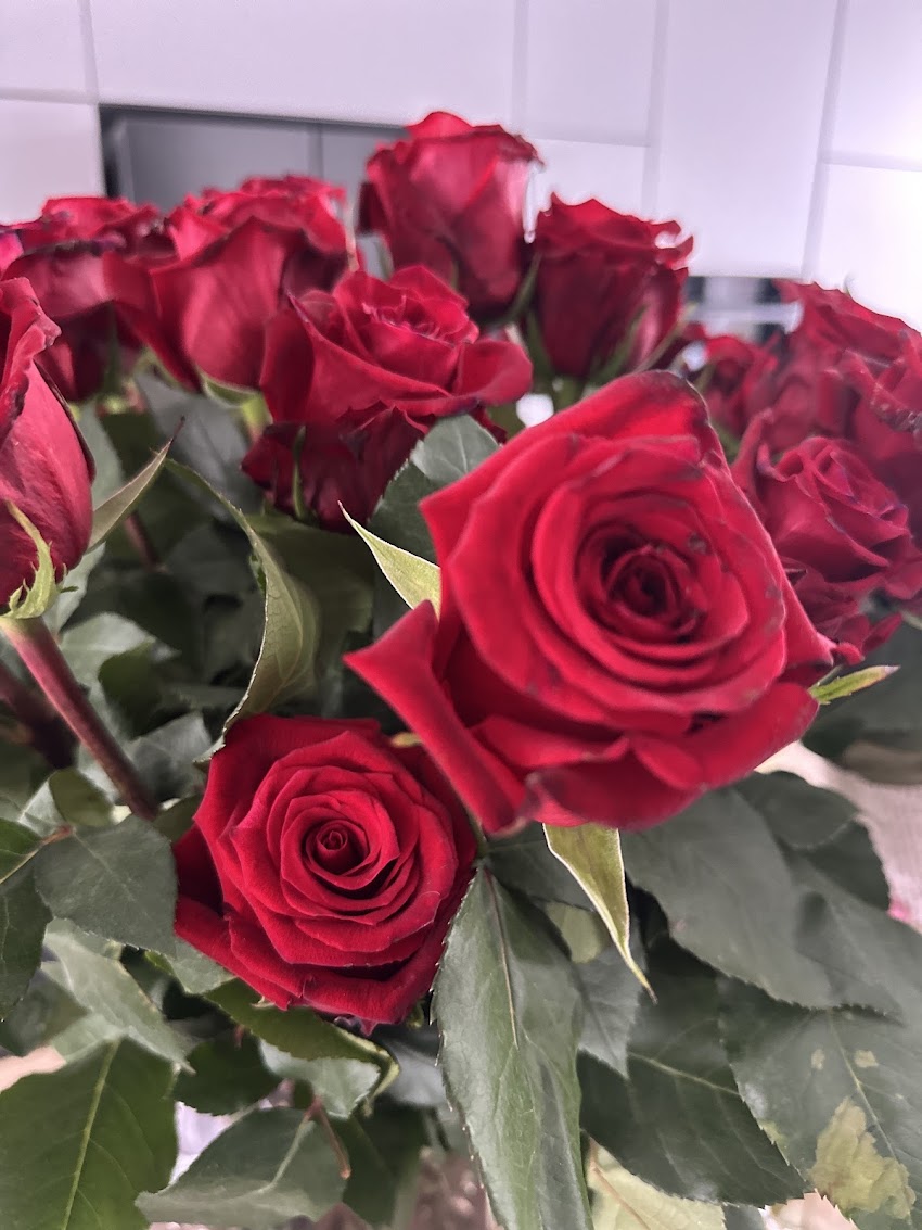Hurtownia Kwiatów DMB Flora