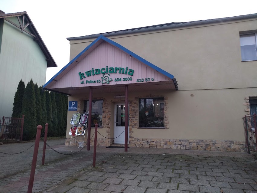 Heinze Dorota. Kwiaciarnia