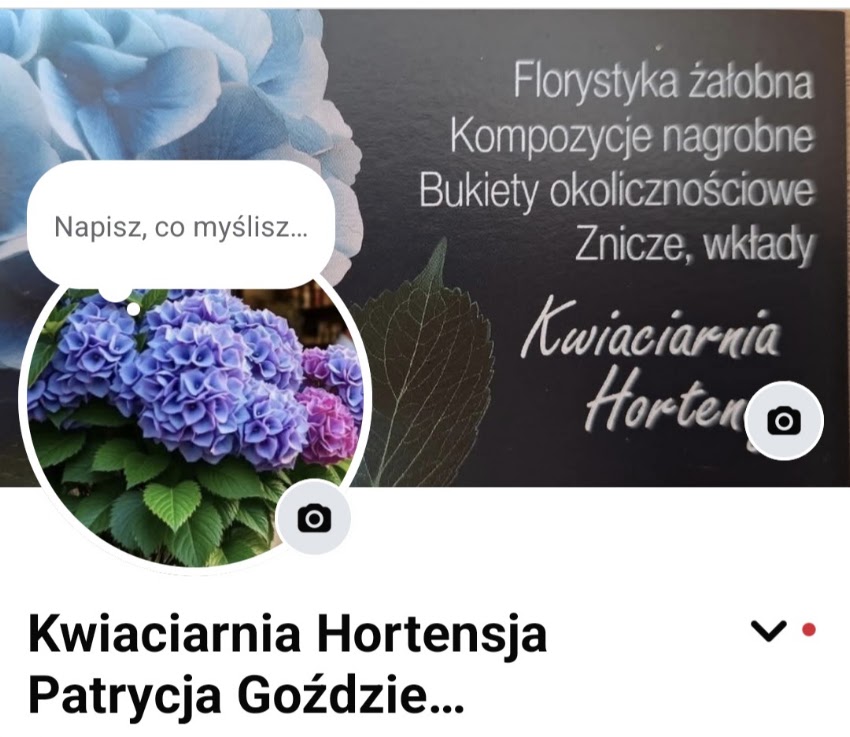 Kwiaciarnia Hortensja Patrycja Goździelewska-Firchow