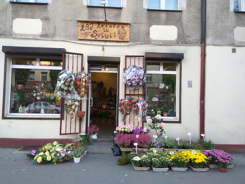Kwiaciarnia Kwiaty u Sylwii