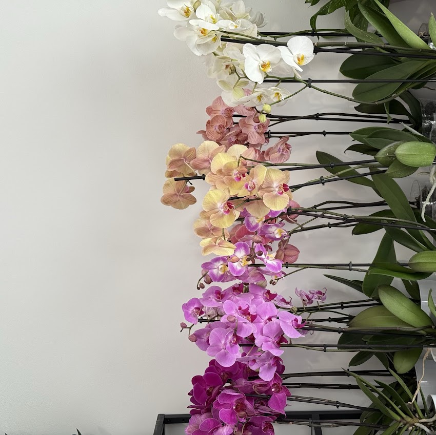 Lilora flowers&beauty studio