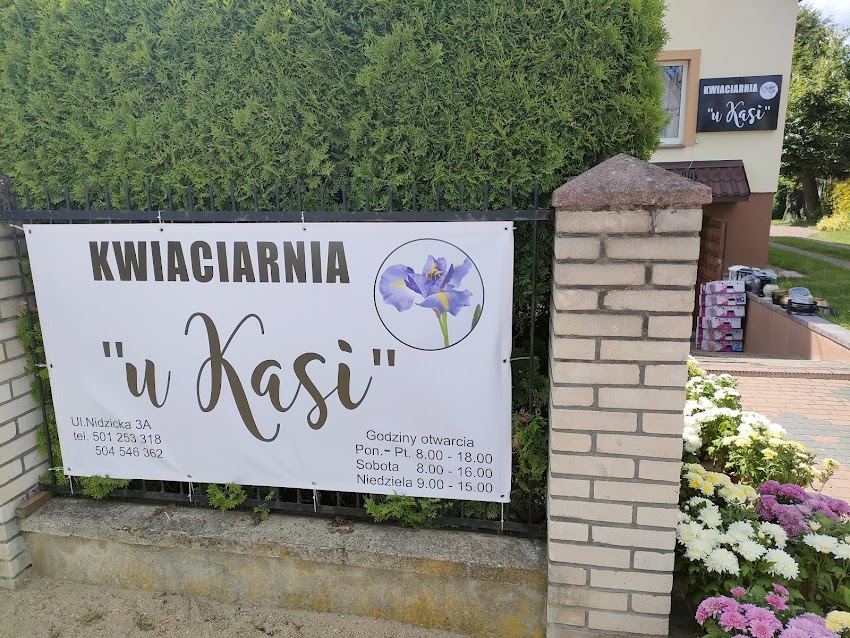 Marek Modrzewski Firma Handlowa Irysek ul.Nidzicka 3a 13-200 Działdowo