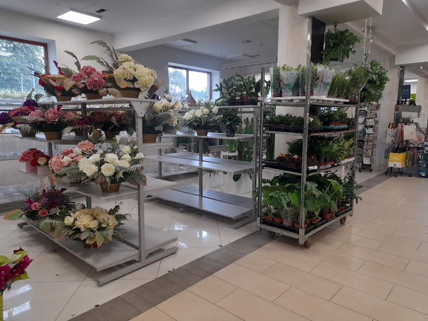 Centrum Kwiatowe KwiatyDonice