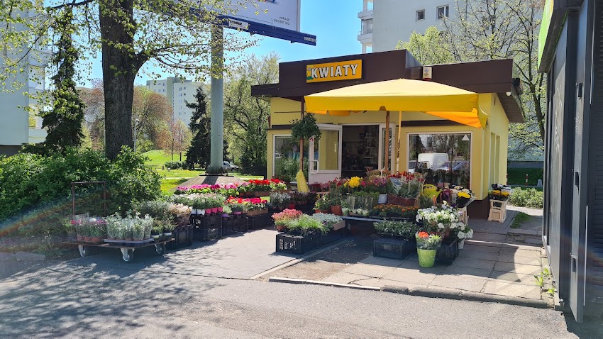 Kwiaciarnia Bez Ogródek