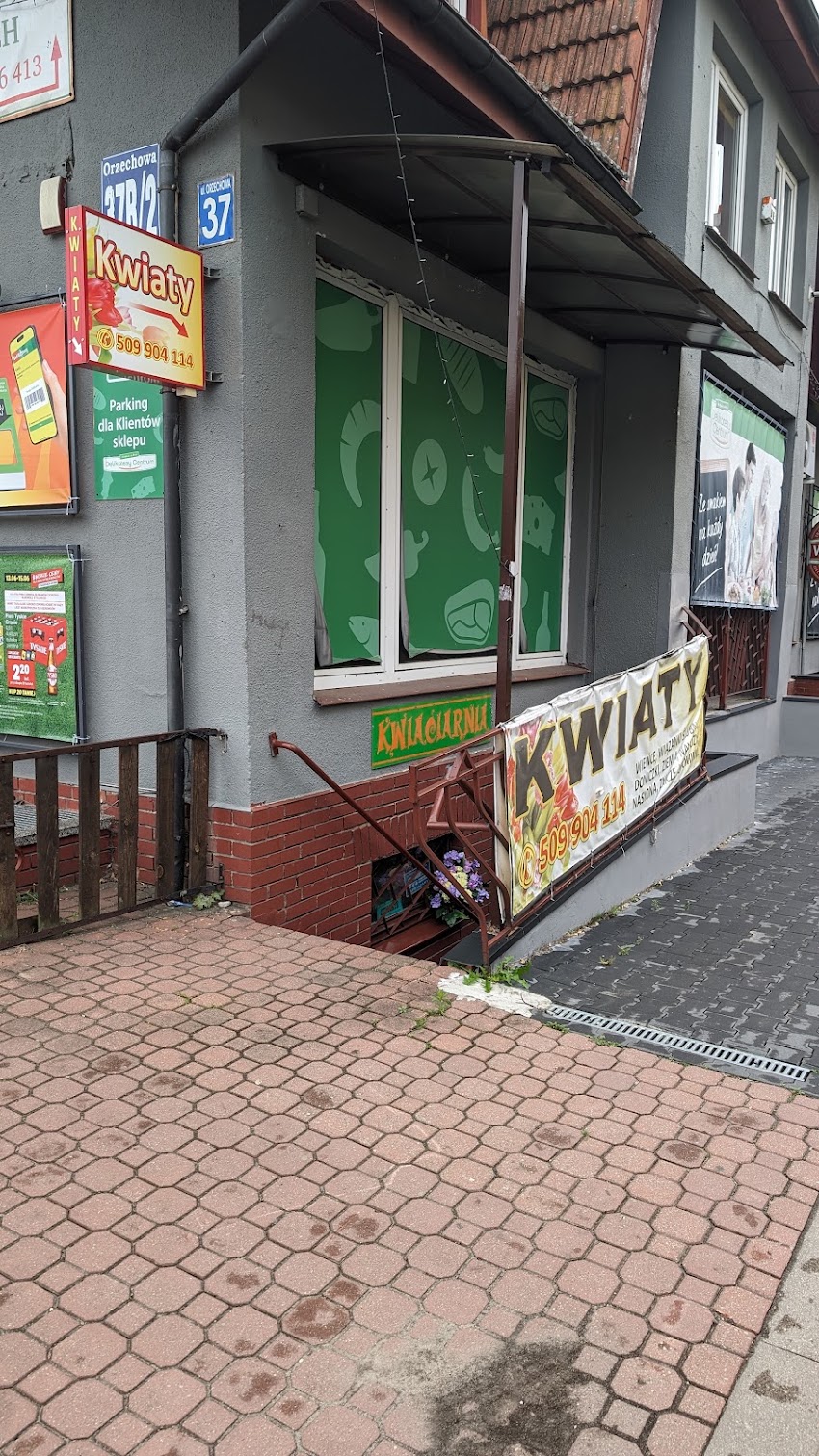 Kwiaciarnia Bożena
