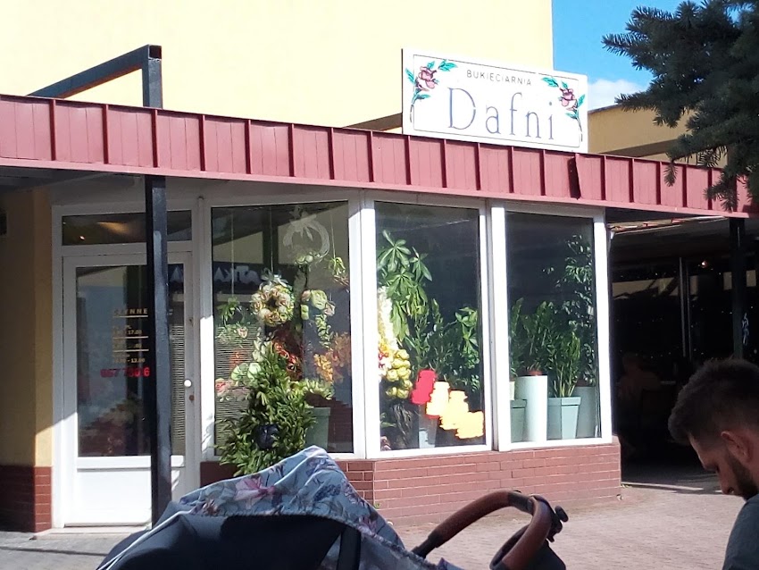 Dafni. Kwiaciarnia. Bukieciarnia. Świerk E.