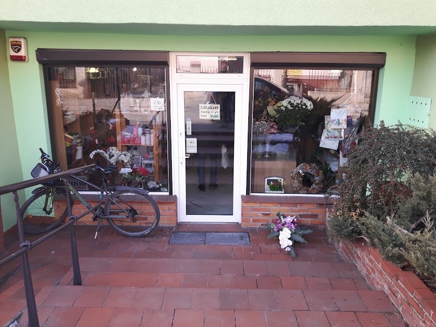 Kwiaciarnia Staisz Anna. Kwiaty, Bukiety, Wiązanki
