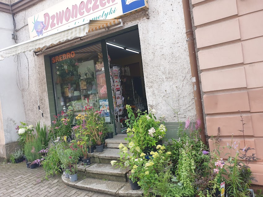 Dzwoneczek. Magdziarz R.