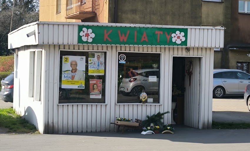 Amarylis. Kwiaciarnia