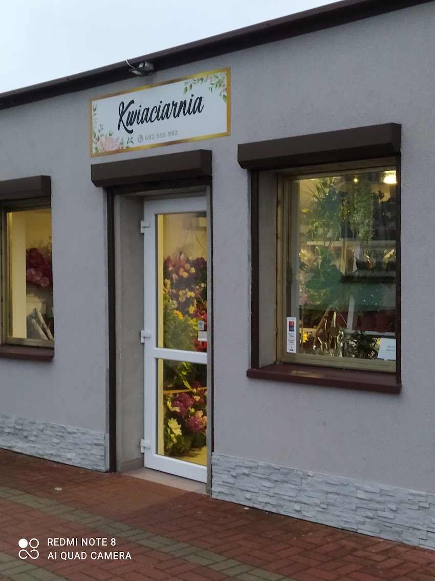 Kwiaciarnia Fikus