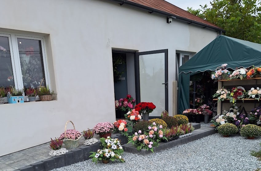 Kwiaciarnia Słoneczna Izabela Szkop