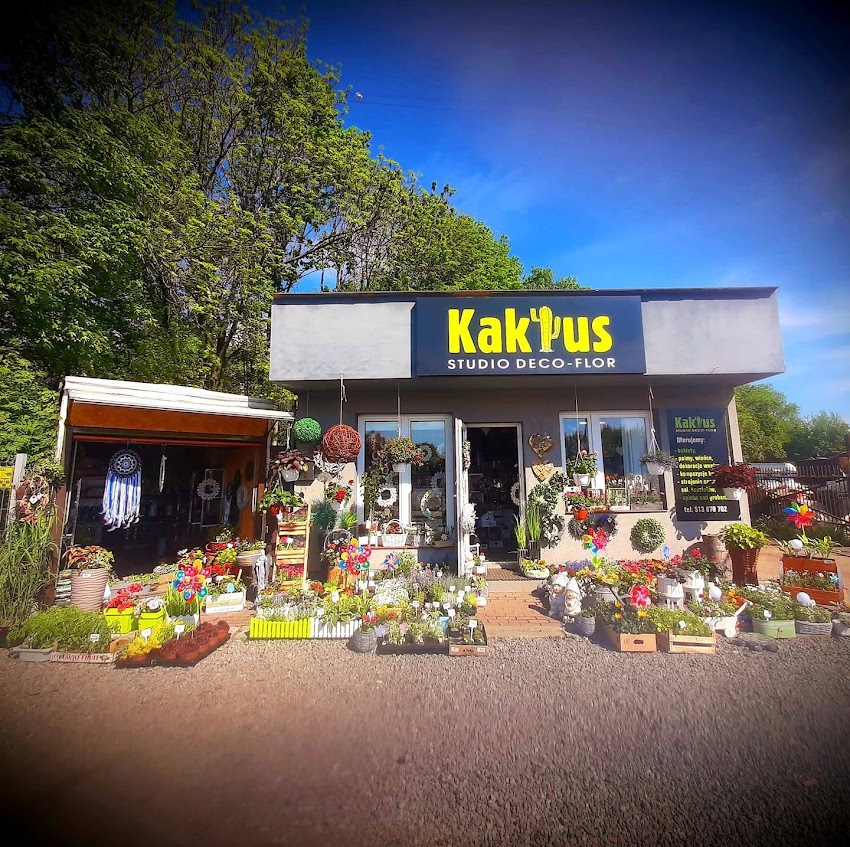 Kaktus Studio Deco-Flor