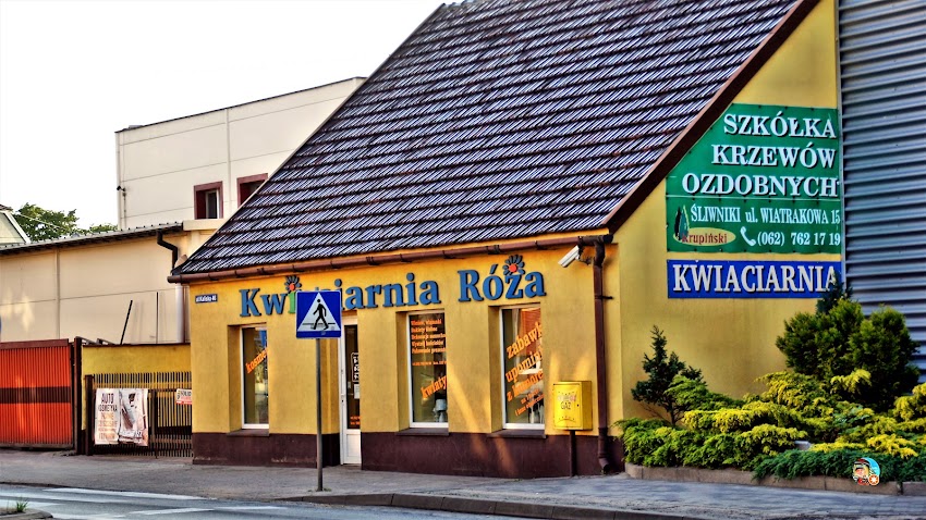 Kwiaciarnia Róża – Krupińska Alina