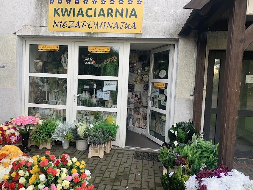 Niezapominajka. Kwiaciarnia
