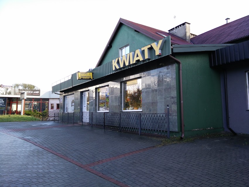 Słonecznik Kwiaciarnia