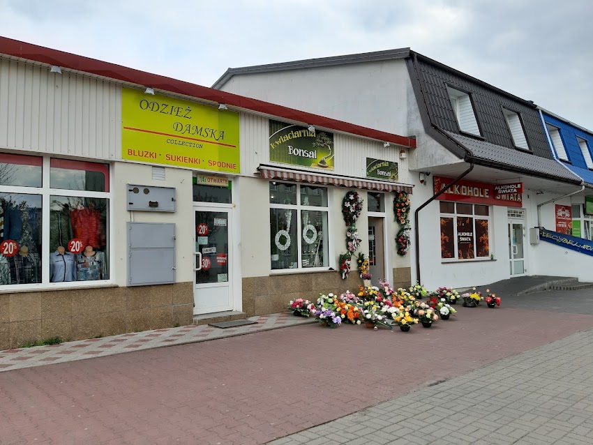 Kwiaciarnia Bonsai Działdowo