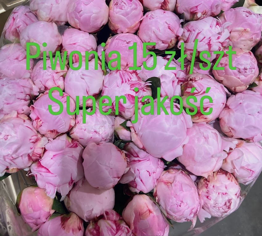 Base Flowers Wrocław Kwiaty Super cena kwiaciarnia świeży kwiaty цветы квиты цветочный магазин