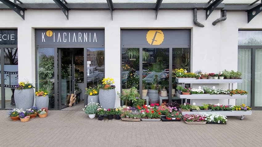 Kfiaciarnia Galeria Zaspa