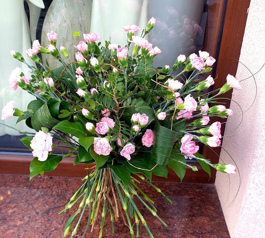Kwiaciarnia Magnolia Dzierżoniów