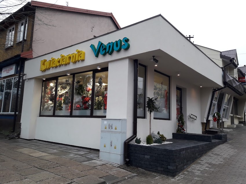 Kwiaciarnia Venus