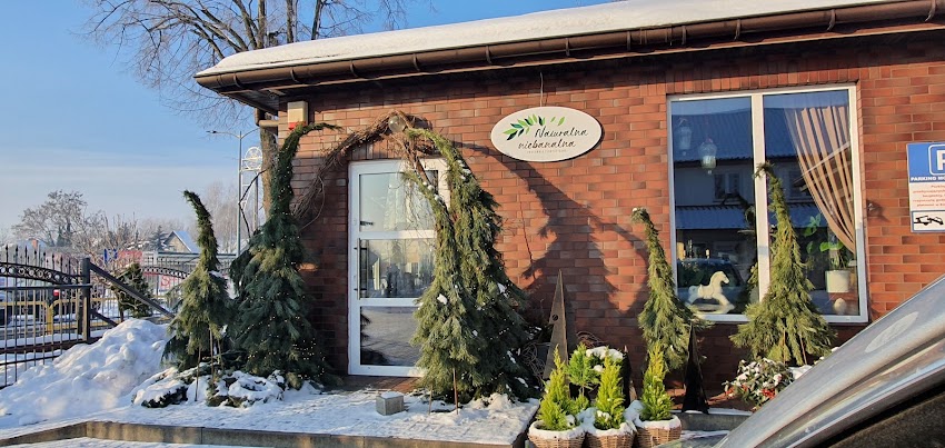 Pracownia florystyczna „Naturalna niebanalna”