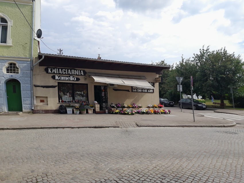 Kwiaciarnia Kamelia Teresa Cichocka