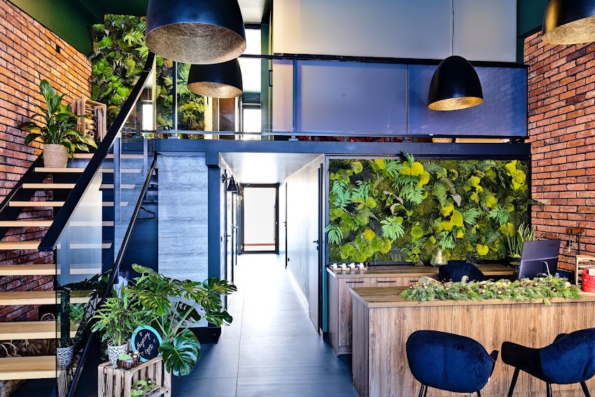 Studio Kwiatów „Frezja”