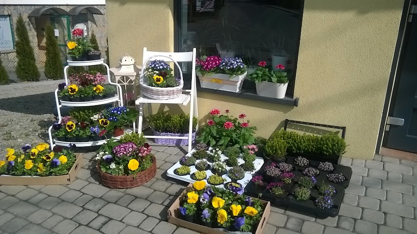 Kwiaciarnia Gardenia w Brzeznej