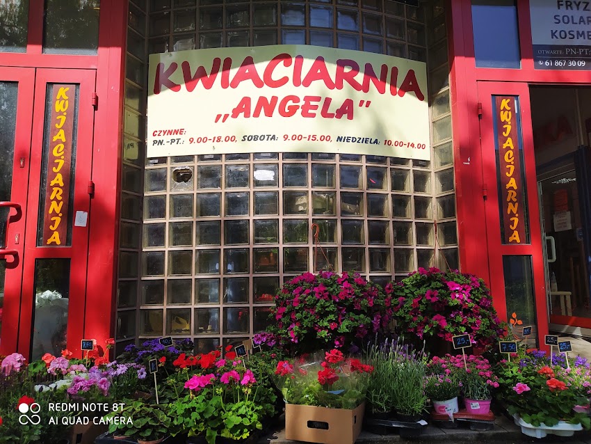 Angela. Kwiaciarnia. Gulczyńska M.