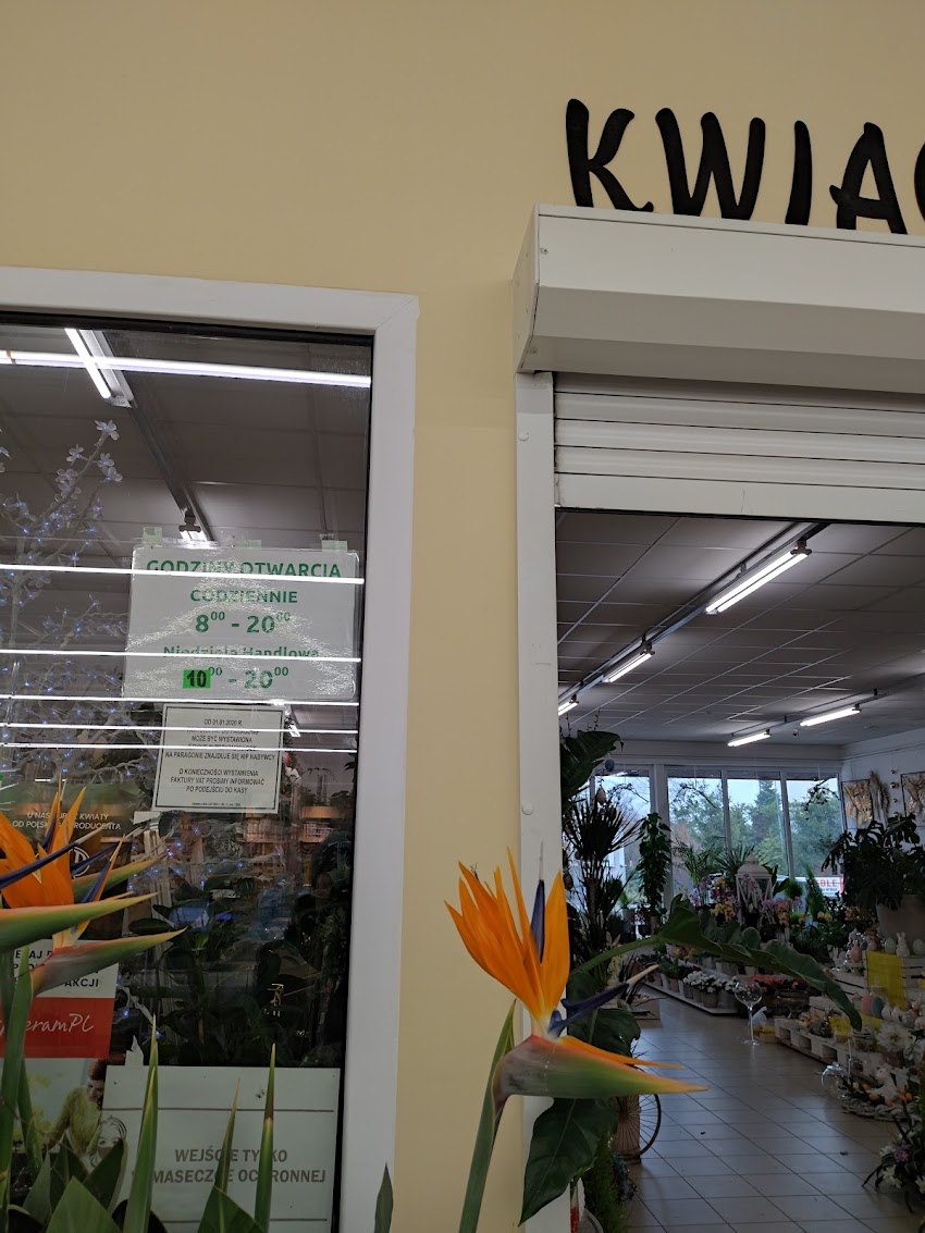 Kwiaciarnia ABC Lubaczów