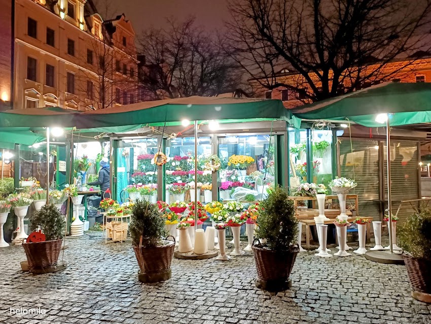 Kwiaciarnia Plac Solny