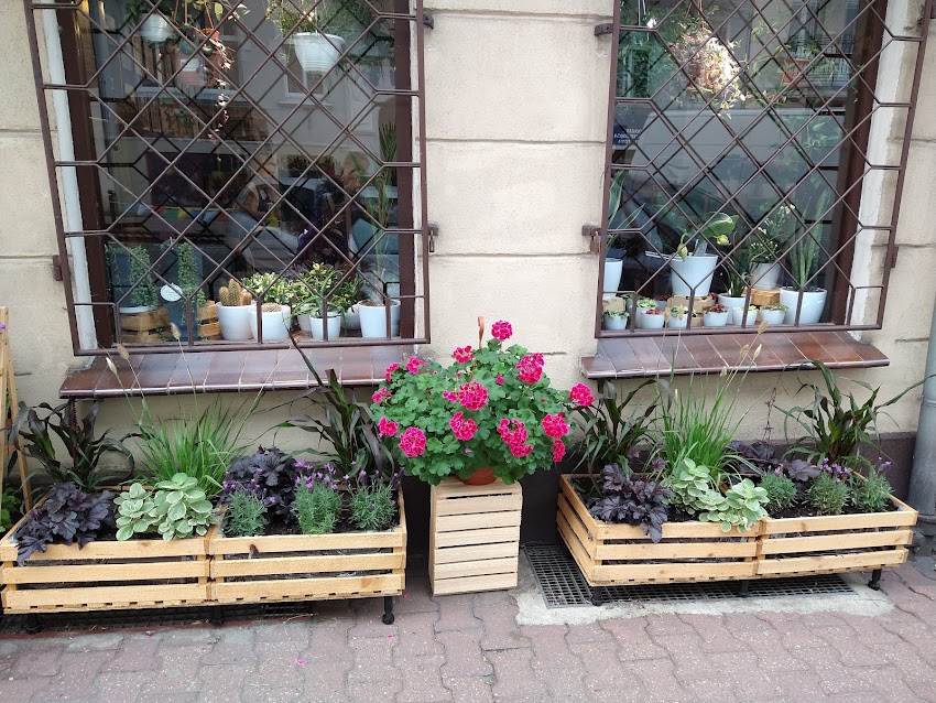 FlowerStudio