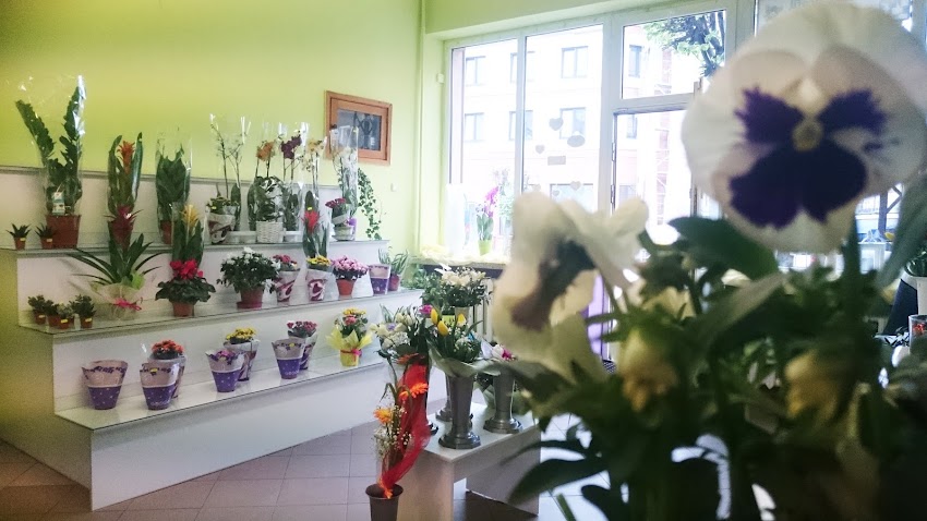 Kwiaciarnia Bratek