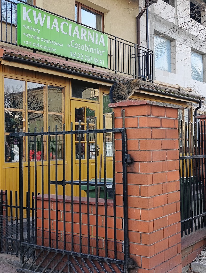 Kwiaciarnia „Casablanca”