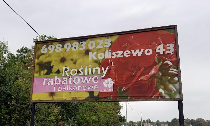Sadzonki Jastrzębscy