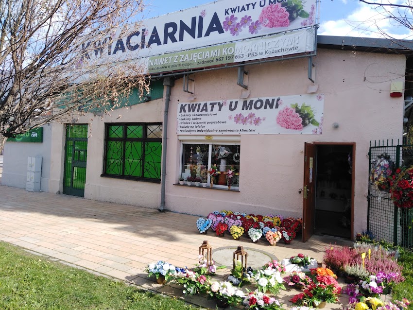 Kwiaty u MONI