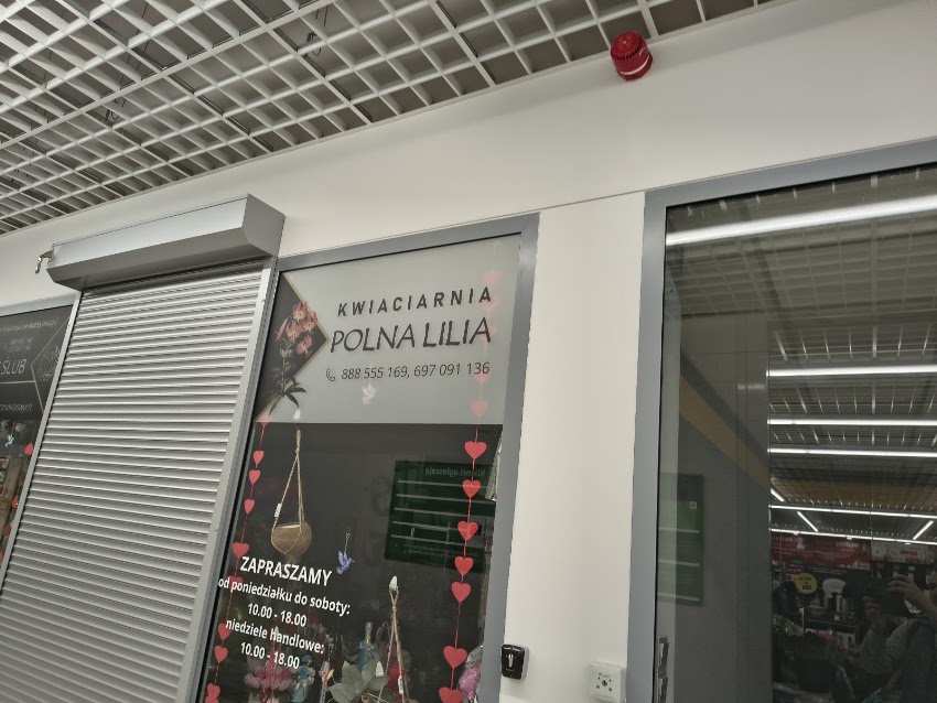 Kwiaciarnia Polna lilia