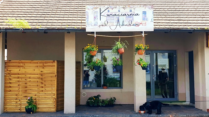 Pod Arkadami kwiaciarnia Łabędy