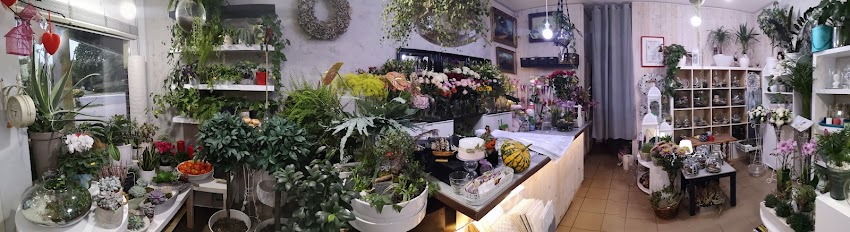 Studio florystyczne SiA