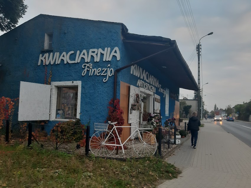Finezja