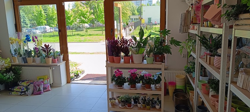 Kwiaciarnia Babie Lato