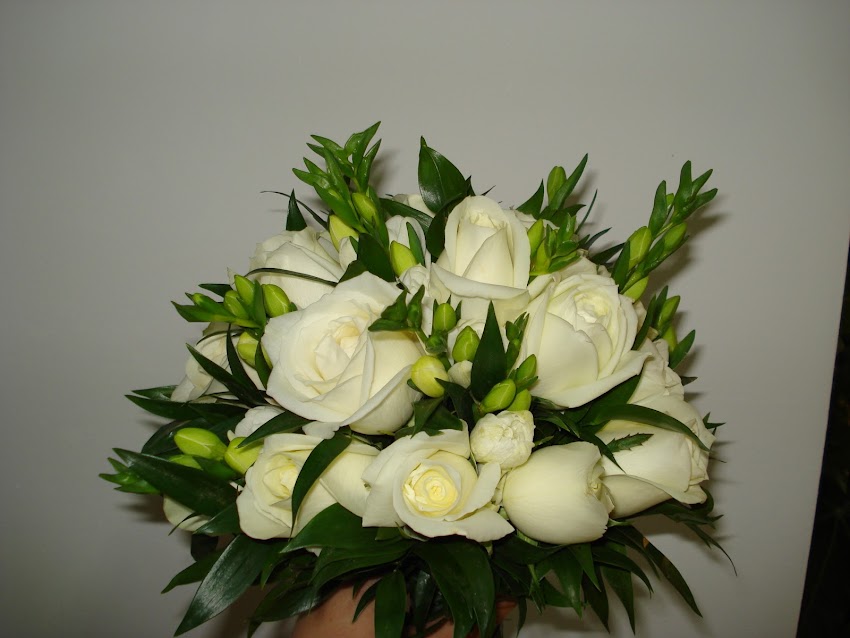 Kwiaciarnia Camelia