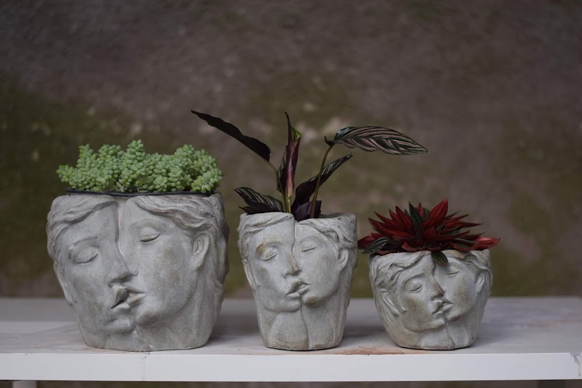 Studio Florystyczne „Moje marzenie”