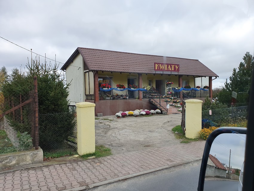 Kwiaciarnia – kwiaty