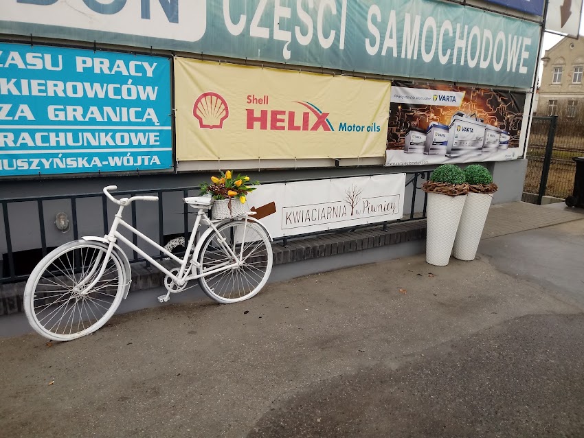Kwiaciarnia w Piwnicy