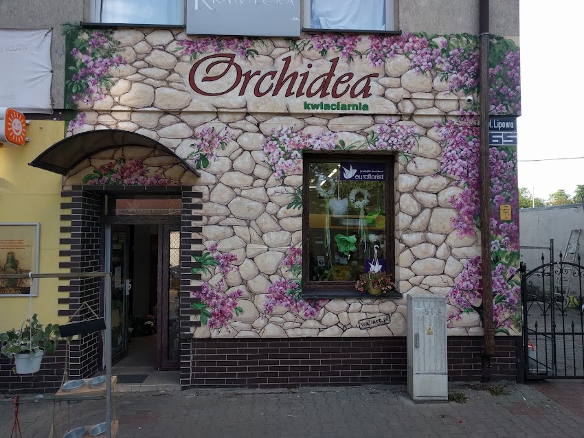 Orchidea Martyna Biegaj