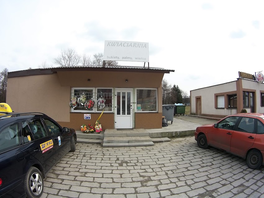 Róża